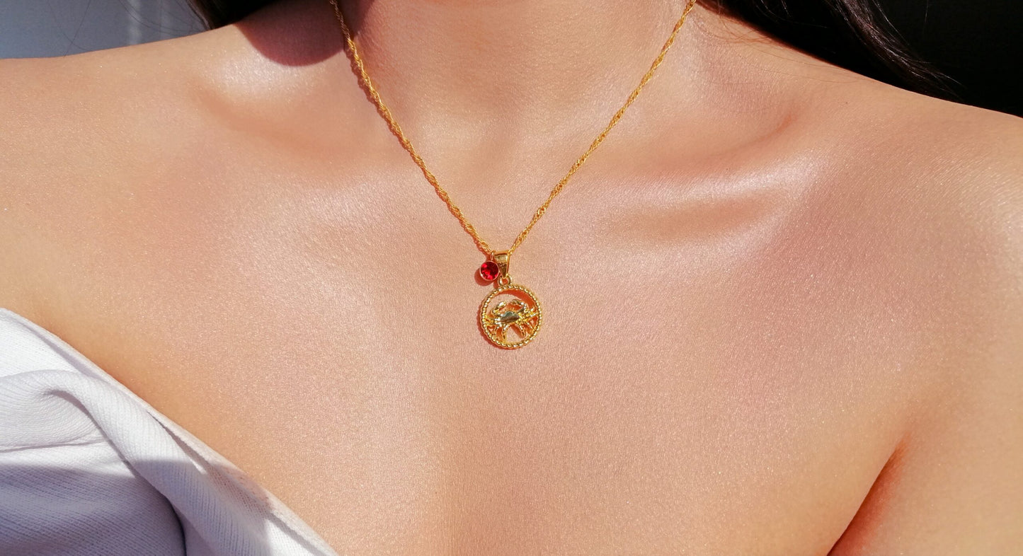 Zodiac Sign and Birthstone Necklace