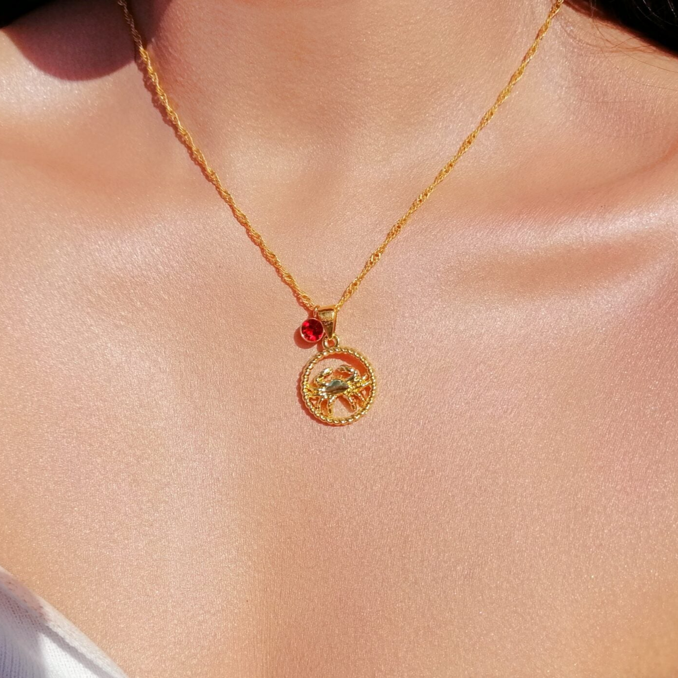 Zodiac Sign and Birthstone Necklace